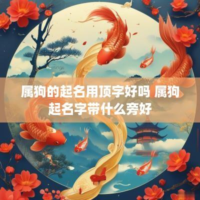 属狗的起名用顶字好吗 属狗起名字带什么旁好
