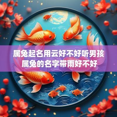 属兔起名用云好不好听男孩 属兔的名字带雨好不好