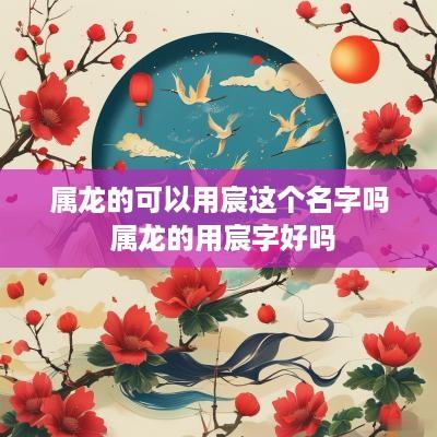 属龙的可以用宸这个名字吗 属龙的用宸字好吗