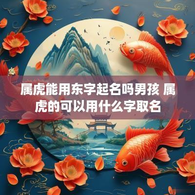 属虎能用东字起名吗男孩 属虎的可以用什么字取名