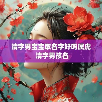 清字男宝宝取名字好吗属虎 清字男孩名