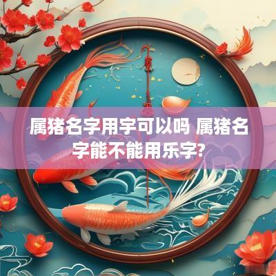 属猪名字用宇可以吗 属猪名字能不能用乐字?