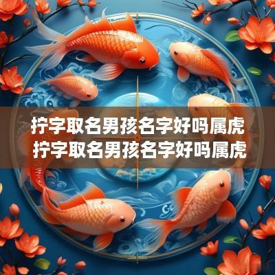 拧字取名男孩名字好吗属虎 拧字取名男孩名字好吗属虎的