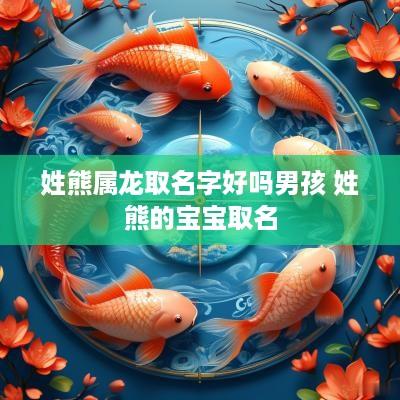 姓熊属龙取名字好吗男孩 姓熊的宝宝取名