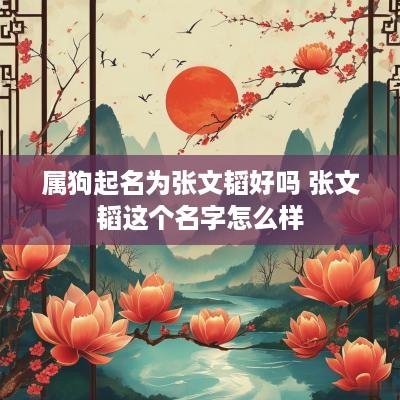 属狗起名为张文韬好吗 张文韬这个名字怎么样