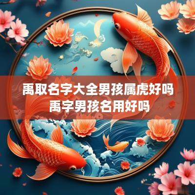 禹取名字大全男孩属虎好吗 禹字男孩名用好吗