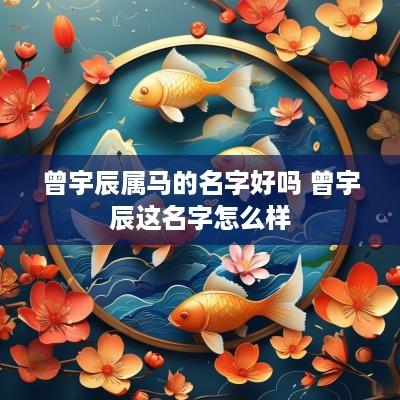曾宇辰属马的名字好吗 曾宇辰这名字怎么样