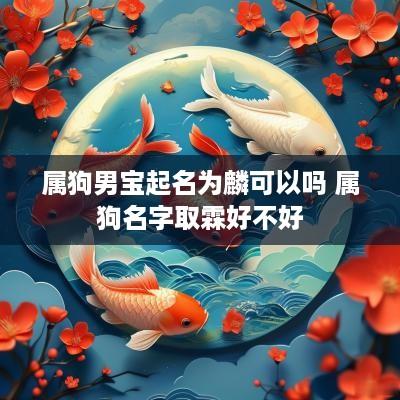 属狗男宝起名为麟可以吗 属狗名字取霖好不好
