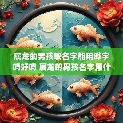 属龙的男孩取名字能用晔字吗好吗 属龙的男孩名字用什么字好