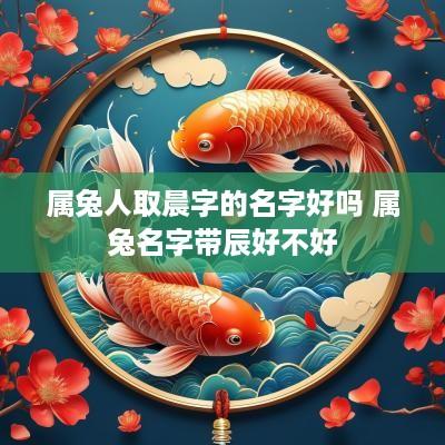 属兔人取晨字的名字好吗 属兔名字带辰好不好