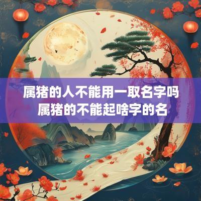 属猪的人不能用一取名字吗 属猪的不能起啥字的名