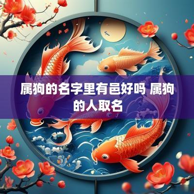属狗的名字里有邑好吗 属狗的人取名