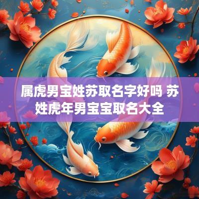 属虎男宝姓苏取名字好吗 苏姓蛇年男宝宝取名大全
