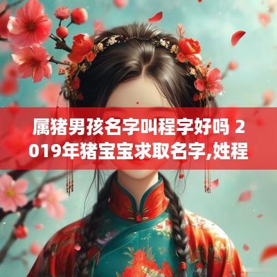 属猪男孩名字叫程字好吗 2019年猪宝宝求取名字,姓程