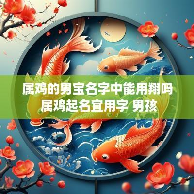 属鸡的男宝名字中能用翔吗 属鸡起名宜用字 男孩