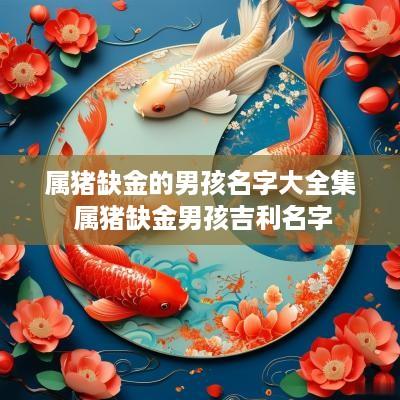 属猪缺金的男孩名字大全集 属猪缺金男孩吉利名字