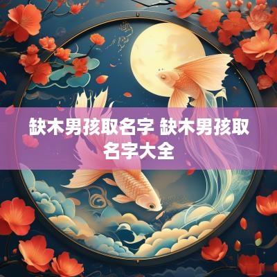缺木男孩取名字 缺木男孩取名字大全