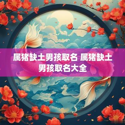 属猪缺土男孩取名 属猪缺土男孩取名大全