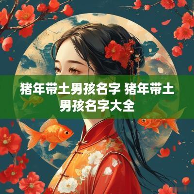 猪年带土男孩名字 猪年带土男孩名字大全
