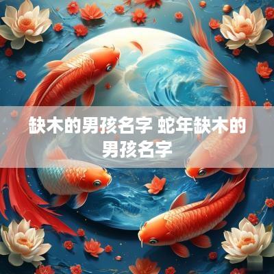 缺木的男孩名字 蛇年缺木的男孩名字