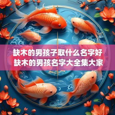 缺木的男孩子取什么名字好 缺木的男孩名字大全集大家看过吗?