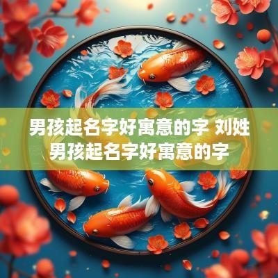 男孩起名字好寓意的字 刘姓男孩起名字好寓意的字