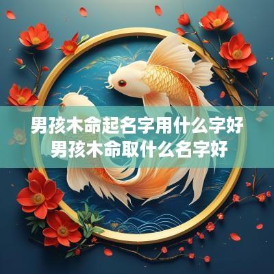 男孩木命起名字用什么字好 男孩木命取什么名字好