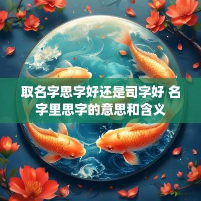取名字思字好还是司字好 名字里思字的意思和含义