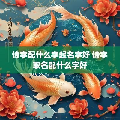 诗字配什么字起名字好 诗字取名配什么字好
