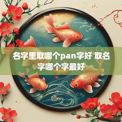 名字里取哪个pan字好 取名字哪个字最好