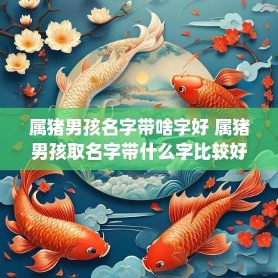 属猪男孩名字带啥字好 属猪男孩取名字带什么字比较好