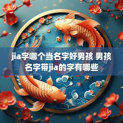jia字哪个当名字好男孩 男孩名字带jia的字有哪些