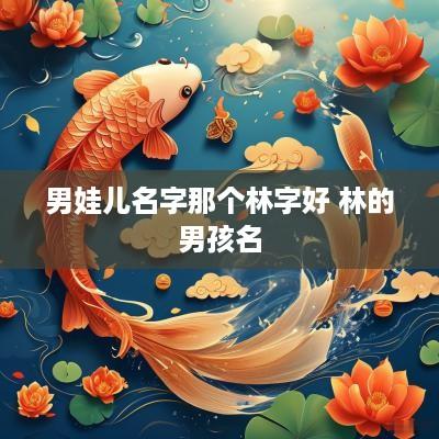 男娃儿名字那个林字好 林的男孩名