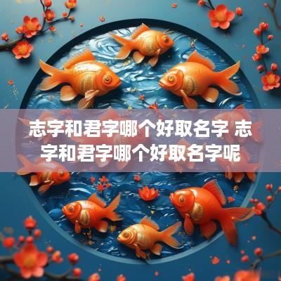 志字和君字哪个好取名字 志字和君字哪个好取名字呢