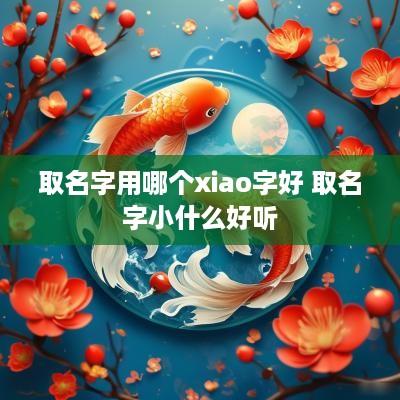 取名字用哪个xiao字好 取名字小什么好听