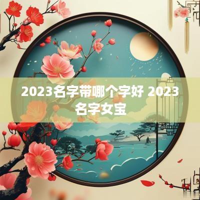2025名字带哪个字好 2025名字女宝