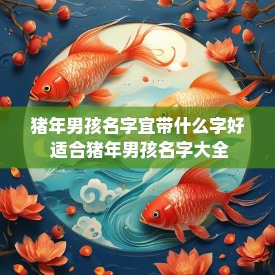 猪年男孩名字宜带什么字好 适合猪年男孩名字大全