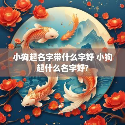 小狗起名字带什么字好 小狗起什么名字好?