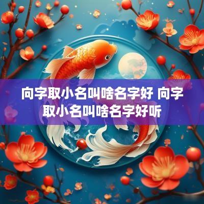 向字取小名叫啥名字好 向字取小名叫啥名字好听