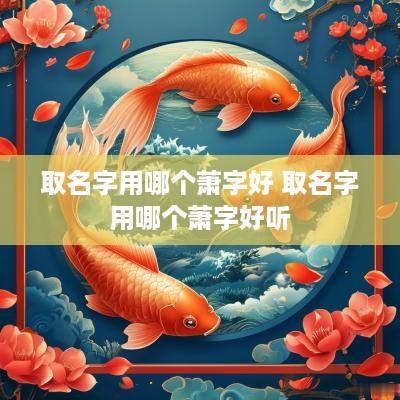 取名字用哪个萧字好 取名字用哪个萧字好听