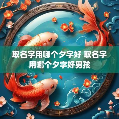 取名字用哪个夕字好 取名字用哪个夕字好男孩