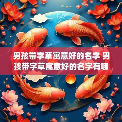 男孩带字草寓意好的名字 男孩带字草寓意好的名字有哪些