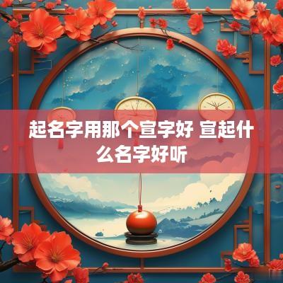 起名字用那个宣字好 宣起什么名字好听
