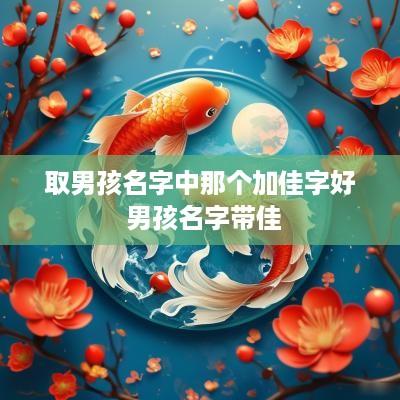 取男孩名字中那个加佳字好 男孩名字带佳