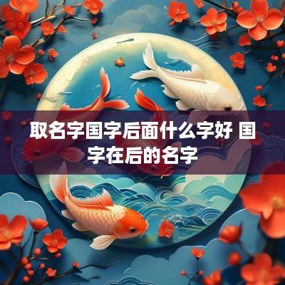 取名字国字后面什么字好 国字在后的名字