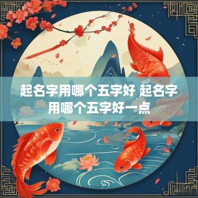 起名字用哪个五字好 起名字用哪个五字好一点
