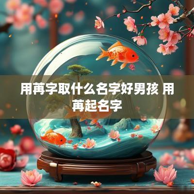 用苒字取什么名字好男孩 用苒起名字