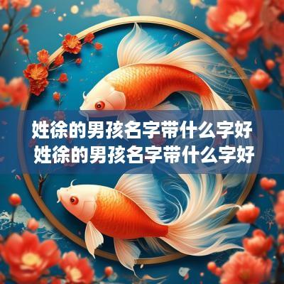 姓徐的男孩名字带什么字好 姓徐的男孩名字带什么字好听