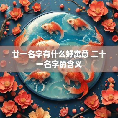 廿一名字有什么好寓意 二十一名字的含义