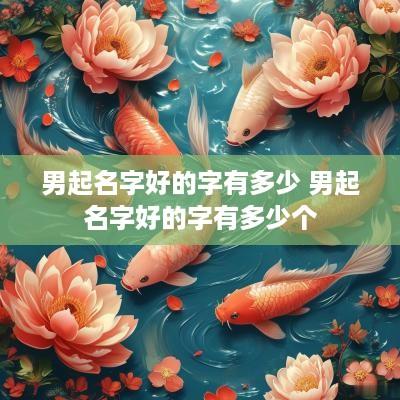 男起名字好的字有多少 男起名字好的字有多少个